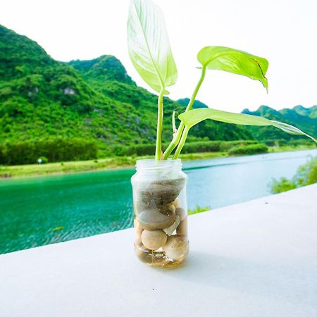 Phong Nha A Little Leaf Homestay Екстериор снимка