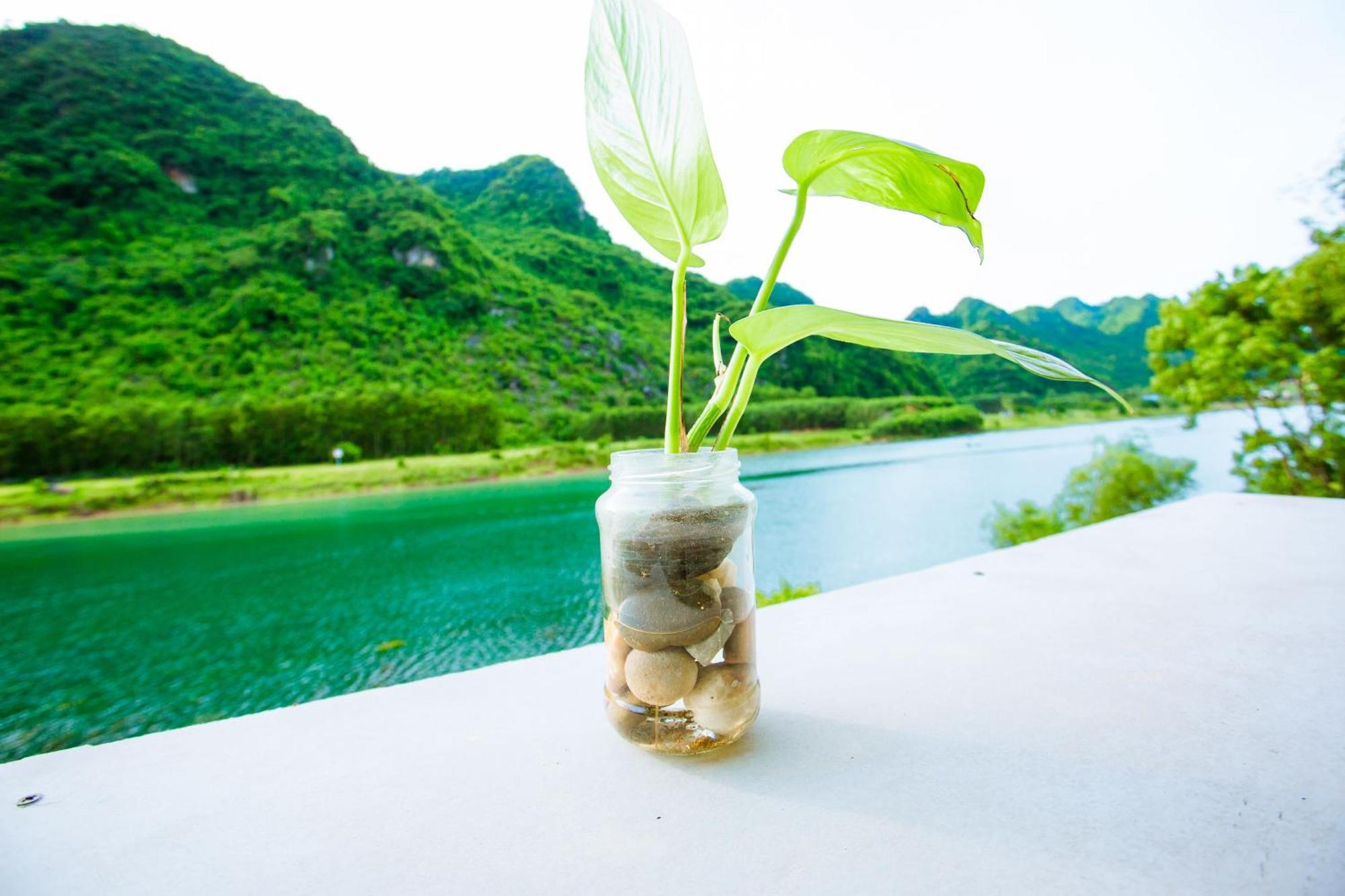 Phong Nha A Little Leaf Homestay Екстериор снимка
