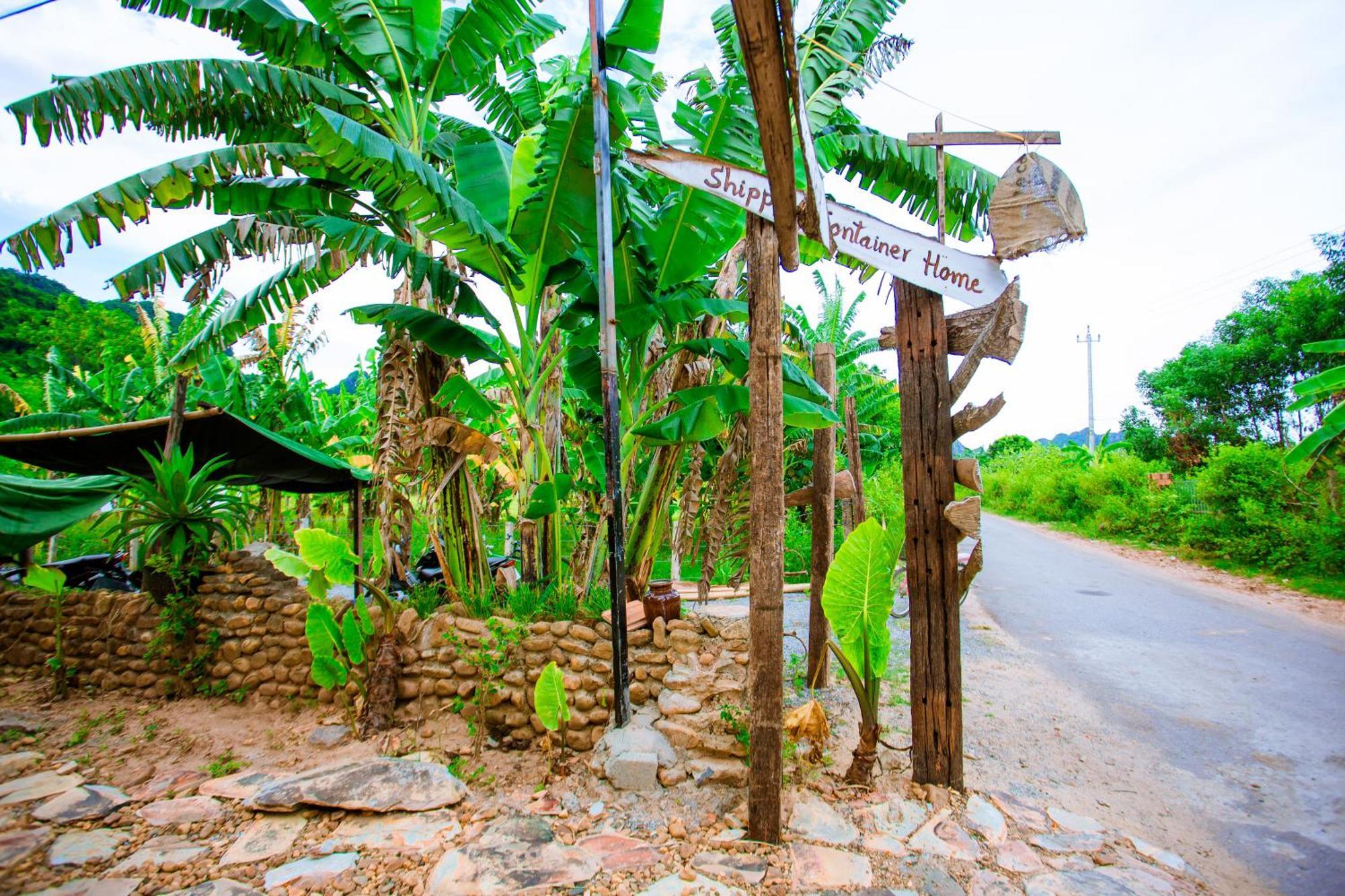 Phong Nha A Little Leaf Homestay Екстериор снимка