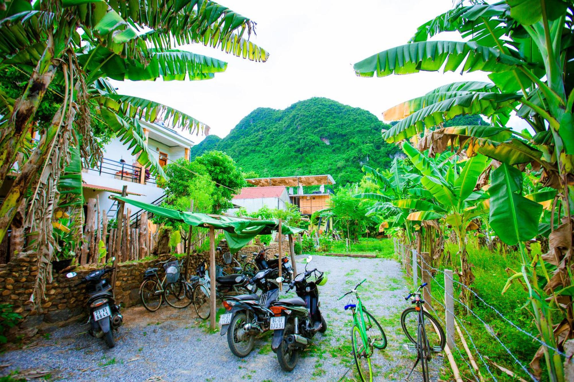 Phong Nha A Little Leaf Homestay Екстериор снимка